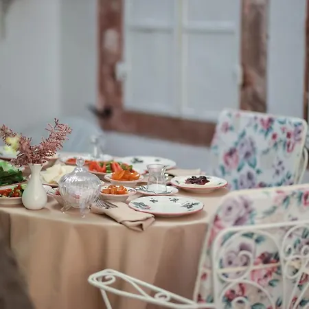 Ali Baris Ayvalı
